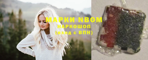 шишки Гвардейск